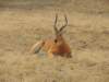 dscn3456_small.jpg