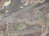dscn3473_small.jpg