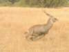 dscn3486_small.jpg