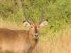 dscn3490_small.jpg