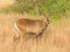 dscn3491_small.jpg