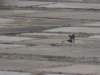 dscn3498_small.jpg