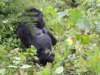 dscn3578_small.jpg