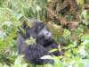 dscn3581_small.jpg