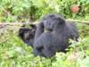 dscn3590_small.jpg