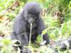 dscn3594_small.jpg