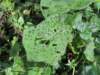 dscn3623_small.jpg
