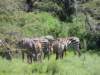 dscn3664_small.jpg