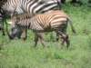 dscn3672_small.jpg