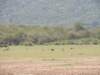 dscn3683_small.jpg