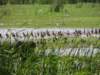 dscn3705_small.jpg