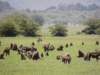 dscn3723_small.jpg