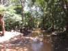 dscn3739_small.jpg