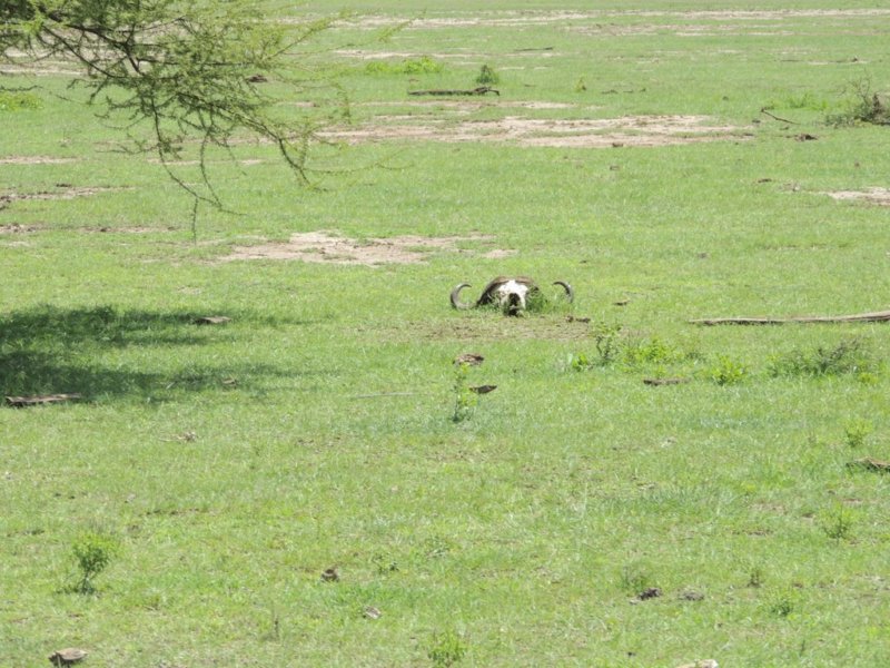 dscn3741.jpg