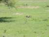 dscn3741_small.jpg