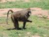 dscn3767_small.jpg