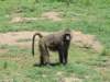 dscn3768_small.jpg