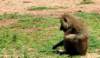 dscn3769_small.jpg