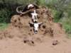 dscn3774_small.jpg