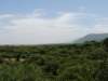 dscn3779_small.jpg