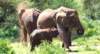 dscn3828_small.jpg