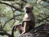 dscn3872_small.jpg