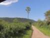 dscn3886_small.jpg