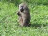 dscn3887_small.jpg