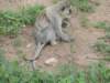 dscn3893_small.jpg