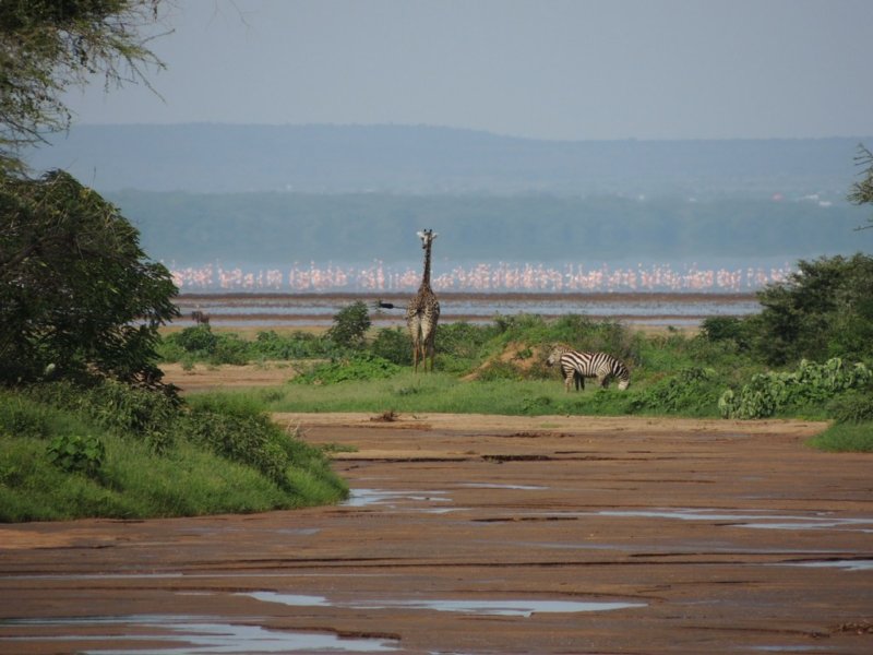 dscn3902.jpg