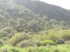 dscn3914_small.jpg