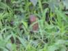 dscn3920_small.jpg
