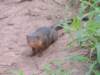 dscn3925_small.jpg