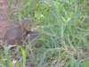 dscn3926_small.jpg