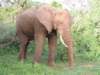 dscn3934_small.jpg