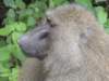 dscn3956_small.jpg