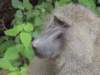 dscn3957_small.jpg