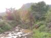 dscn3965_small.jpg