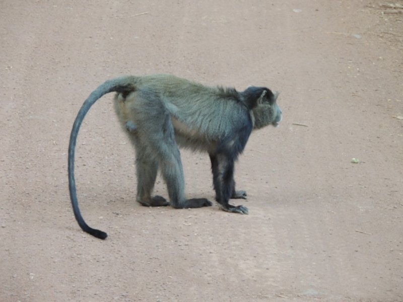 dscn3970.jpg