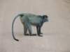 dscn3970_small.jpg