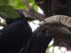 dscn3990_small.jpg