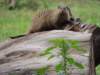 dscn3997_small.jpg
