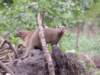 dscn4001_small.jpg