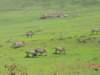 dscn4037_small.jpg