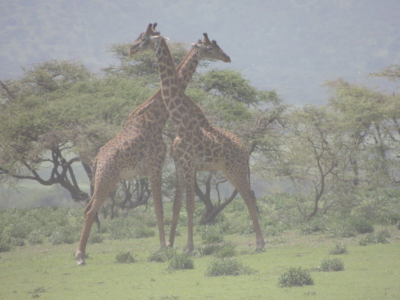dscn4056.jpg
