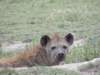 dscn4073_small.jpg