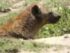 dscn4078_small.jpg