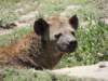 dscn4079_small.jpg