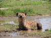 dscn4091_small.jpg