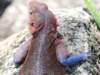 dscn4143_small.jpg